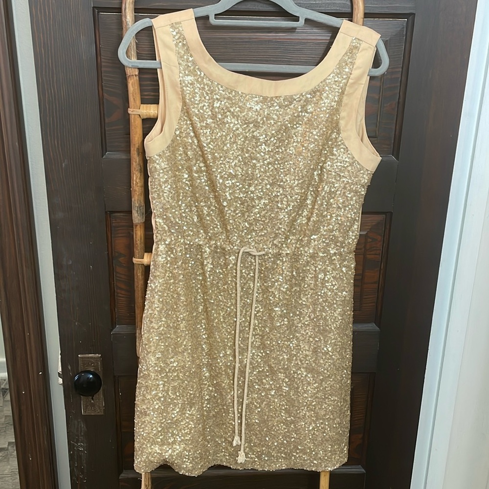 Boutique sequined dress
